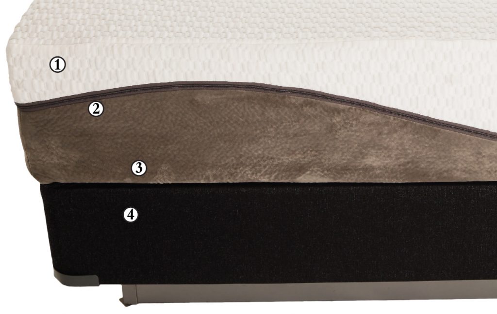 Cutaway of Freedom Adjustable Base